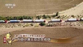 沙漠种土豆 生态和效益“双丰收”_比特币:UND