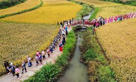 每日一词∣中国农民丰收节 Chinese Farmers'' Harvest Festival_THE:etheral代表什么意义