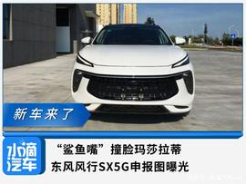 “鲨鱼嘴”撞脸玛莎拉蒂，东风风行SX5G申报图曝光_ING:FORTH