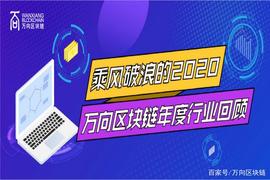 万向区块链年度回顾：乘风破浪的2020——公链篇_ADO:FIL