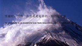 你可以炒比特币，但一定要远离比特币合约！_比特币:SNOWFLOKI