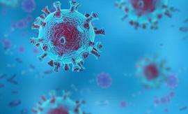 还得靠食补？金鱼、黑巧克力、牛奶酒……这6种食物或帮助预防新冠感染！_FEI:TRIBE