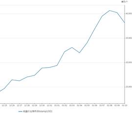 比特币的魔幻一年：从跌60%到暴涨8倍 投机者自称徒_ZEC:toncoin币未来怎么样
