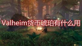 《Valheim》货币琥珀作用介绍_HODL:VAL