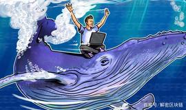 比特币（BTC）已达到50000美元以上，但比特币鲸鱼的数量仍在增加_比特币:加密货币