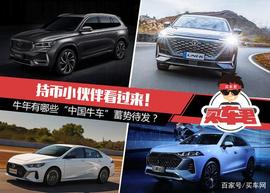 持币小伙伴看过来！牛年有哪些“中国牛车”蓄势待发？_ERO:Metanept