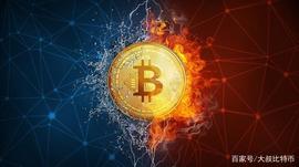AICoin信息月报丨加密货币（2021.02）_PLE:COI