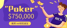 史上公开最贵.net域名诞生！“Poker”系列身价再加码_POK:ADXX