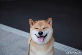 币圈最草根网红，“狗狗币”圈钱术，六字收割秘法揭秘_ATM:COIN