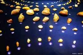 一文让你了解什么是比特币，别再把比特币当货币了_比特币:比特币官方网