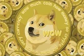 “狗狗币”成币圈新宠？有网友冲着LOGO好看购买 专家：没有相关技术创新，投资风险较大_狗狗币:StartupersCoin