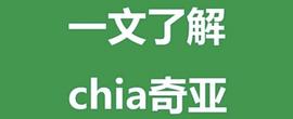 什么是chia？OKEx副总裁徐坤深度解读热门项目Chia_狗狗币:比特币
