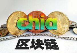 chia币爆火，硬盘价格飙升，火遍币圈的Chia到底是什么？_比特币:asd币前景