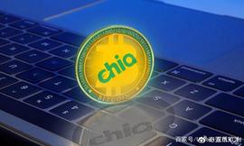 浅谈Chia（奇亚）挖矿的机遇与风险_CHI:Believer Coin