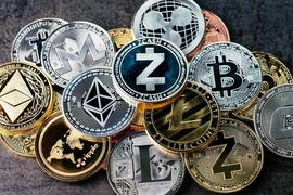 狗狗币收割了无数财富，你却还不知道它是啥_加密货币:coinex跑路了吗