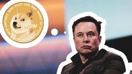 狗狗币，也许只是一场击鼓传花的游戏_狗狗币:比特币