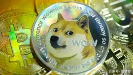 1枚BTC=18万枚DOGE！从马斯克「叙事式喊单」看狗狗币暴涨逻辑_马斯克:BabySatoshi