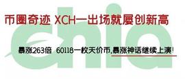 币圈奇迹XCH一出场就屡创新高，暴涨263倍 ，60118一枚天价币_VIP:FOM