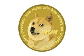 网红狗狗币的前世今生_COI:TIP