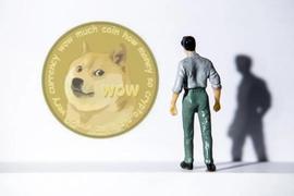 月涨10倍的“狗狗币”是币圈的“昙花一现”，还是“异军突起”？_狗狗币:狗狗币今日最新价格人民币