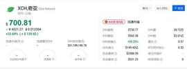 从FIL的发展历程看现在的奇亚Chia币，你应该清楚_CHI:privacychian