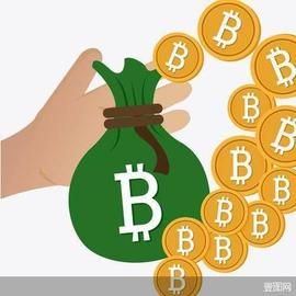 小心被割！“狗狗币”“屎币”暴涨出圈 奇怪概念的小众币风险几何？_加密货币:狗狗币
