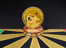 “屎币”日涨236%,狗狗币6个月涨近250倍!马斯克承认是“局”_加密货币:一天能挖几个门罗币