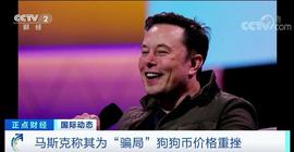 闪崩！狗狗币暴跌超30%！“第四大加密货币”曾一年暴涨200倍，为何走出魔……_狗狗币:加密货币市场总市值一直会变吗