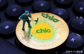 2021又一匹黑马——奇亚币(Chia)_狗狗币:马斯克