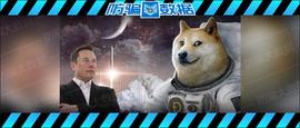 揭秘｜暴跌39%，狗狗币雪崩式狂泻！马斯克“承认”了：它就是局！_狗狗币:OIN