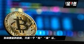 他身家过亿、我负债50万，我们都买“屎币”_SHIB:SHI