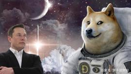 狗狗币一飞冲天，是时候了解它_SHI:SHIF