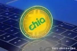 （中币）黑马Chia来袭，XCH奇亚爆涨65%！_比特币:vertcoin