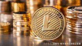 莱特币ltc的核心价值（2021年5月19日）_比特币:数字货币