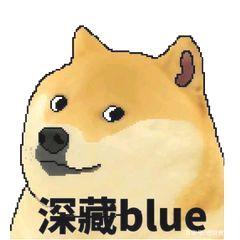 带你了解“狗狗币”_狗狗币:马斯克