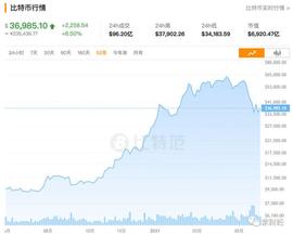 中国“围剿”比特币 玩家何去何从？币圈：“这玩意需要信仰！”_泰达币:马斯克是谁