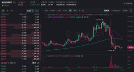 “空气换大饼”事件再现，Venus创始团队退出系币安子公司，BSC用户担忧链上借贷协议风险_Venus:XVS