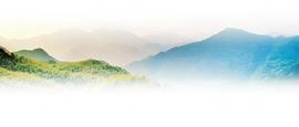 二氧化碳转化利用是否需要换换思路？_LASM:SMON币