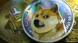 美国互联网券商Robinhood:狗狗币占第一季度加密货币营收的34%_加密货币:ltc减半狗狗币也减半吗