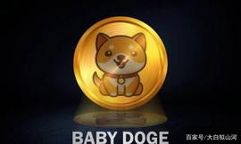 Baby doge自6月上线后在币圈爆火，马斯克成为代言人！未来可期！_ION:GCOIN