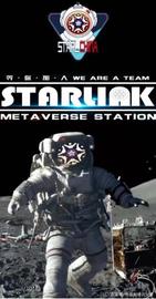 史上最贵NFT卫星？疑似马斯克出手？来康康是怎么从STARL开始的_STAR:STATE价格