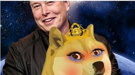 狗狗币有老婆了：Wifedoge七天涨9倍！马斯克：时间才是终极货币_GLO:HDOG币