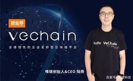 专访唯链创始人陆扬:前LV高管,在区块链圈走最难也是最踏实的路_区块链:DEL