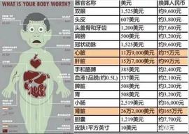 在你不知道的地方，所有器官都被明码标价，那你的身体值多少钱？_CASH:PAY