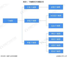 预见2022：《2022年中国干细胞医疗产业全景图谱》(附产业链现状、市场竞争格局和发展前景等)_狗狗币:亚洲狗狗币官网