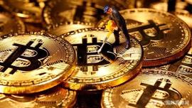 Bitcoin再创新高 美国75%受访者辞职炒币_加密货币:加密货币软件