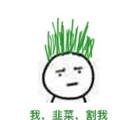 什么是元宇宙？元宇宙是不是局？_元宇宙:数字资产