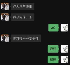 16年前的MINI，竟然还能卖30多万人民币？_MINI:YUAN