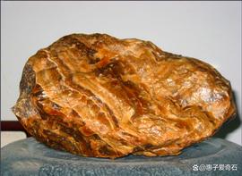 价值连城的“金香玉”之谜_NFT:IFT