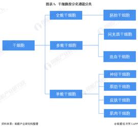 预见2022:《2022年中国干细胞医疗产业全景图谱》(附市场规模、竞争格局和发展前景等)_RAN:tranchess币